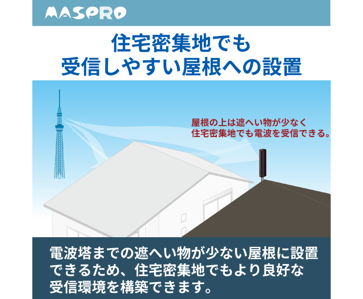 ブラックブロンズ