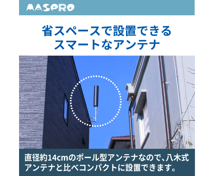 ブラックブロンズ